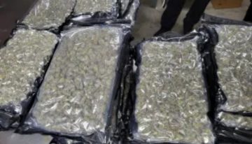 Cargamento sospechoso: intentaron cruzar a Nueva York cajas llenas de “chocolate”, pero la CBP descubrió lo que ocultaban