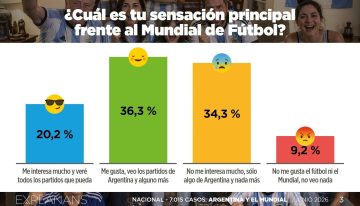 ¿Podrá Messi rescatar la imagen de Milei? El análisis de las encuestas indica que no