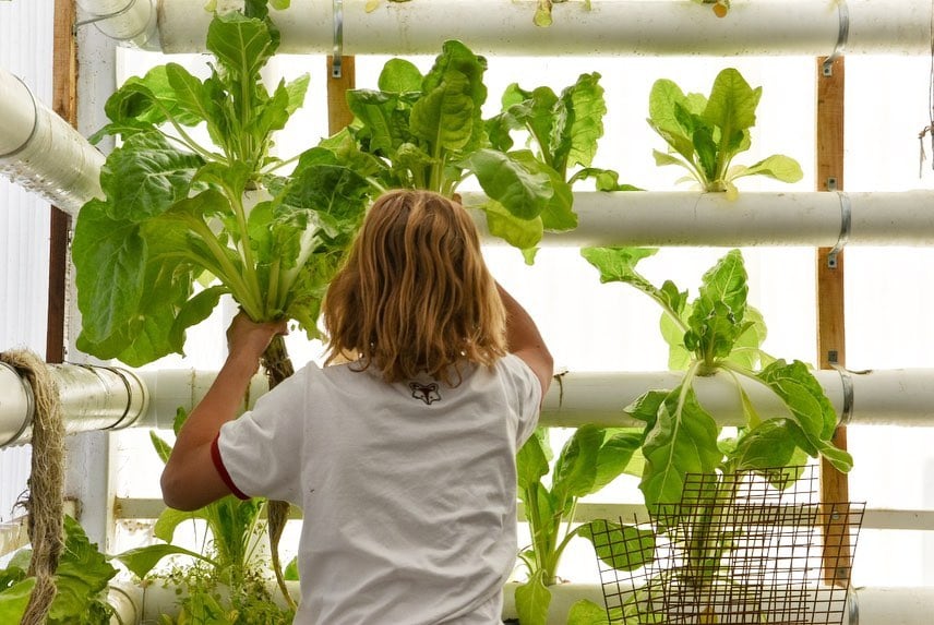 Estudiantes del Colegio San Pedro Apóstol trabajan en proyectos ambientales dentro del campus de la institución cordobesa, finalista mundial en la categoría Acción Ambiental de los World’s Best School Prizes 2026