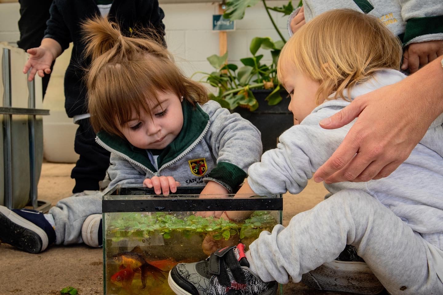 Uno de los proyectos más destacados del colegio fue el diseño de biofiltros para reutilizar agua de los bebederos escolares, una iniciativa liderada por estudiantes que posteriormente obtuvo reconocimiento académico y becas universitarias