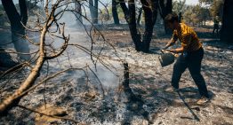 Última hora de los incendios forestales, en directo | Los trabajos en la sierra oeste de Madrid se centran en el entorno del río Cofio, uno de los puntos críticos