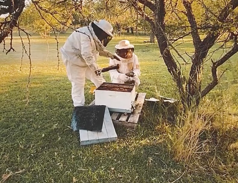 Hoy, sus apiarios están distribuidos entre Santiago del Estero, Tucumán, Santa Fe y Entre Ríos; produce alrededor de entre 10.000 y 15.000 kilos de miel por año y ofrece nueve variedades distintas