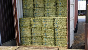 Momento histórico: se exportaron casi 170.000 toneladas de un cultivo muy demandado en Medio Oriente y Asia
