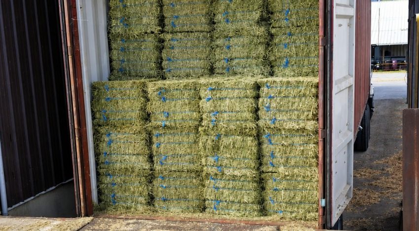 Momento histórico: se exportaron casi 170.000 toneladas de un cultivo muy demandado en Medio Oriente y Asia