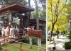 Ni Cariló ni Pinamar: la playa dentro de un bosque a 4 horas de Buenos Aires, ideal para relajarse este fin de semana largo