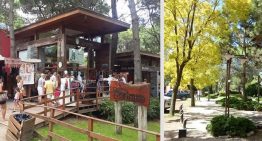 Ni Cariló ni Pinamar: la playa dentro de un bosque a 4 horas de Buenos Aires, ideal para relajarse este fin de semana largo
