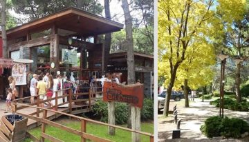 Ni Cariló ni Pinamar: la playa dentro de un bosque a 4 horas de Buenos Aires, ideal para relajarse este fin de semana largo