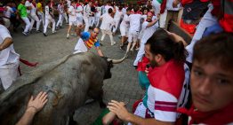 Sexto encierro de San Fermín 2026, en directo | La ganadería de La Palmosilla protagoniza una rápida carrera