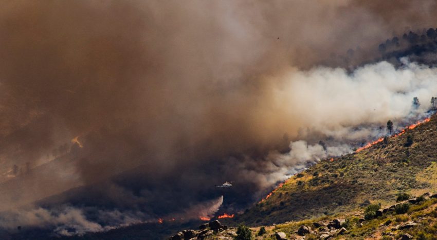 Última hora de los incendios forestales, en directo | El incendio en Ávila obliga a confinar Burgohondo, El Tiemblo y Navaluenga