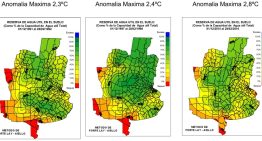 “Debería ser un gran año”: un pronóstico despeja una incógnita sobre el fenómeno El Niño