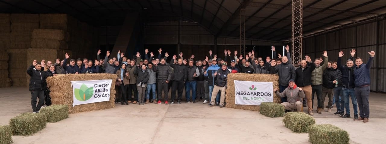 Integrantes del clúster de alfalfa de Córdoba