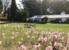 Esta casa de la costa argentina se hizo con los restos de un velero alemán que quedó encallado en la arena