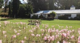 Esta casa de la costa argentina se hizo con los restos de un velero alemán que quedó encallado en la arena