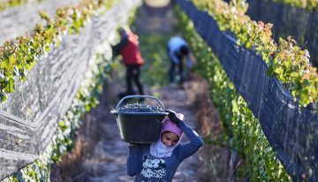 “Es una ley nociva”: en una provincia temen perder parte de su identidad productiva por un cambio que impulsa el Gobierno