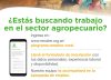 Bolsa de trabajo para el campo: abren la inscripción para vincular a trabajadores rurales con empresas de todo el país