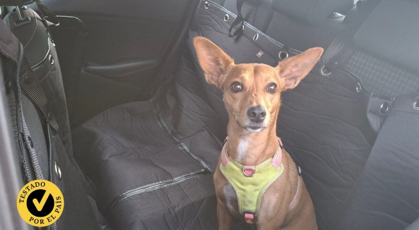 Pruebo los mejores protectores de asiento de coche para perros