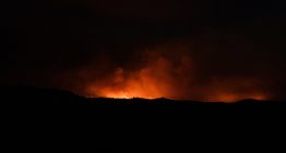 Última hora de los incendios forestales, en directo | El fuego en Madrid continúa activo y sin controlar tras una noche de trabajo intenso