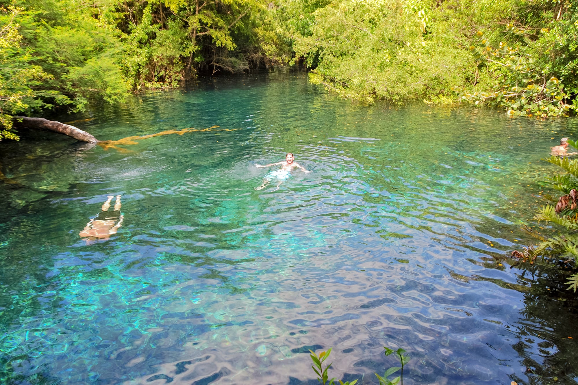 Una de las 12 lagunas de la Reserva Ecológica Ojos Indígenas