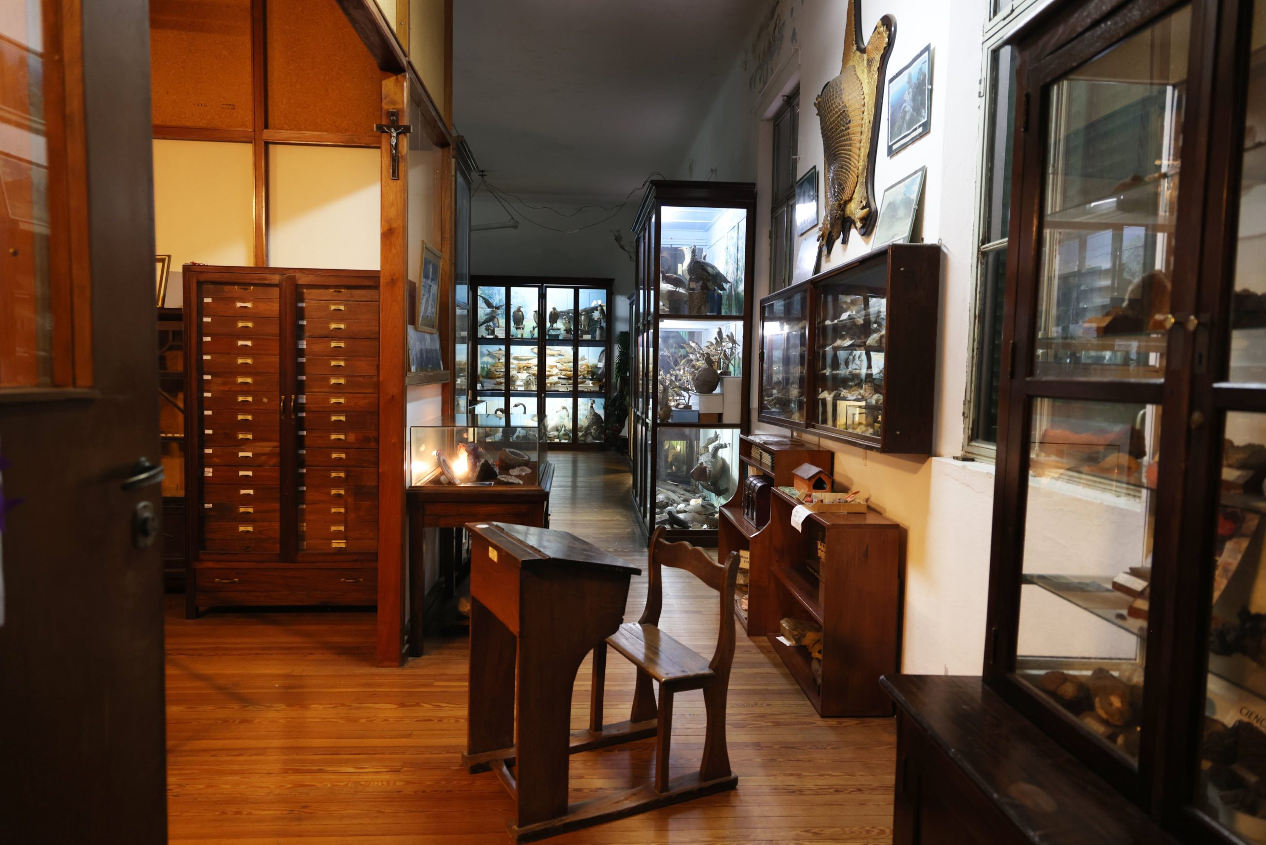 Recorrer con detenimiento el museo puede tomar varias horas