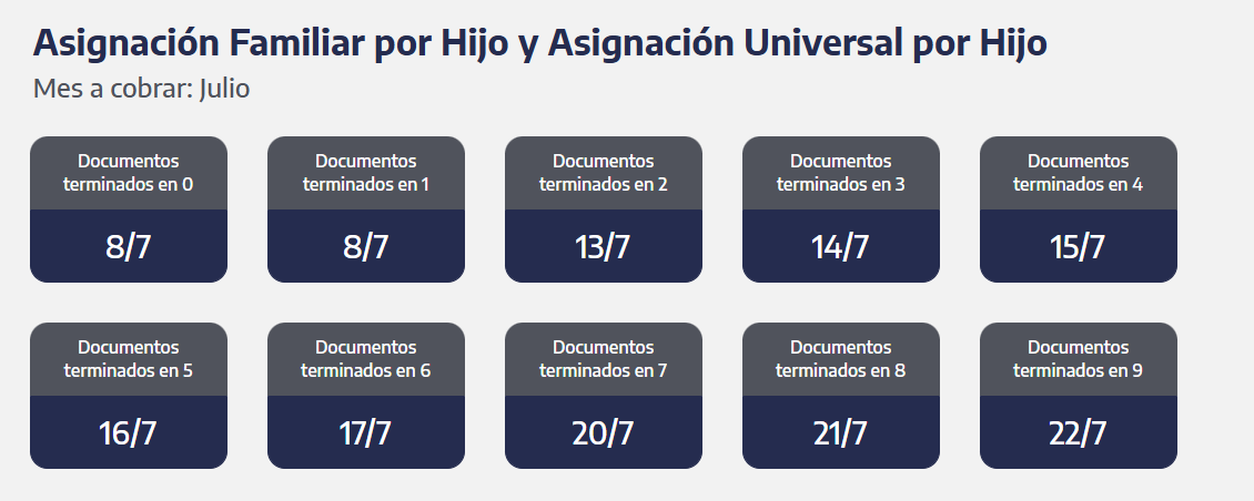 Quiénes cobran la AUH y SUAF (Captura: ANSES)
