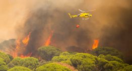 Última hora de los incendios forestales, en directo | El incendio de Madrid sigue activo mientras las labores de extinción se concentran en el embalse de San Juan
