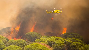 Última hora de los incendios forestales, en directo | El incendio de Madrid sigue activo mientras las labores de extinción se concentran en el embalse de San Juan