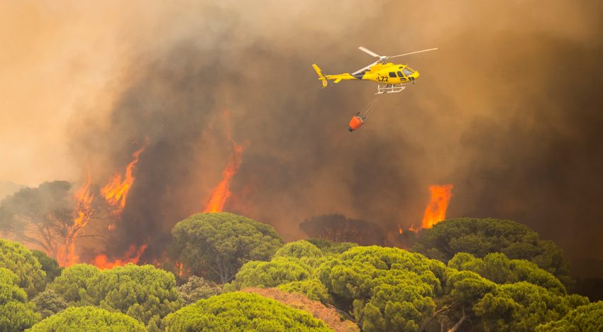Última hora de los incendios forestales, en directo | El incendio de Madrid sigue activo mientras las labores de extinción se concentran en el embalse de San Juan