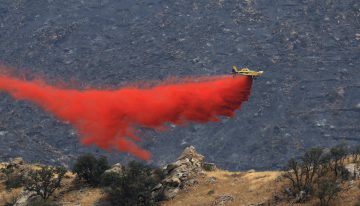 Últimas noticias del incendio forestal de Los Gallardos (Almería), en directo | El consejero de Emergencias: “Quienes cuestionan que no se mandara el Es-Alert no tienen ni idea de lo que hablan”