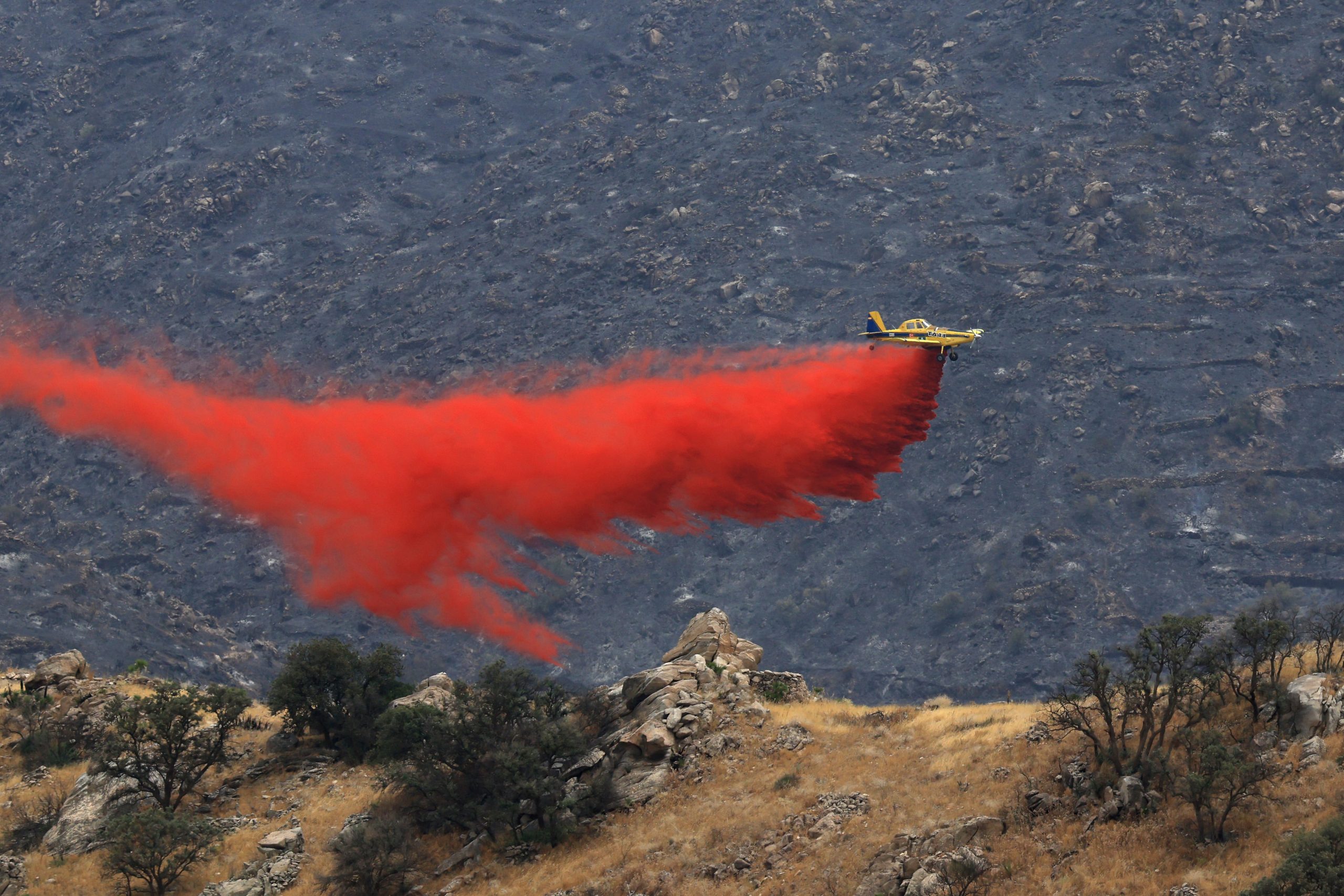 Medios de extinción de incendio en de Los Gallardos en El Chive este sábado.