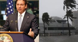 Oficial en Florida: DeSantis anuncia hasta US$500 de reembolso por ventanas resistentes a huracanes