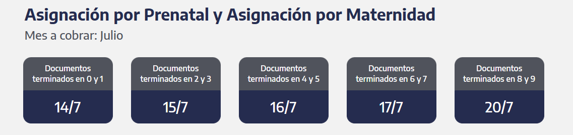 Quiénes reciben hoy la asignación por Prenatal y Maternidad (Foto: ANSES)