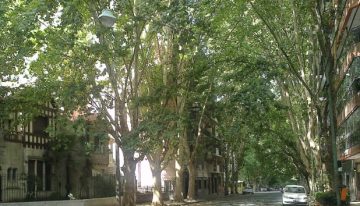 Resfrío o rinitis: cómo diferenciarlas y qué hacer ante los primeros síntomas