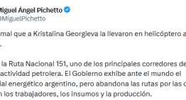 Pichetto aprovechó la visita de Georgieva para criticar al gobierno de Milei: “Menos mal que la llevaron en helicóptero”