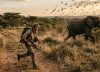 Proverbio africano del día: “El cazador que persigue a un elefante no se detiene para tirar piedras a los pájaros”