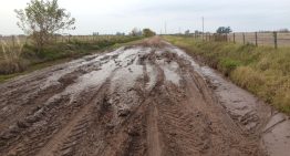 “Que sea una política de Estado”: presentaron un proyecto para cambiar la gestión de los caminos rurales en un municipio bonaerense