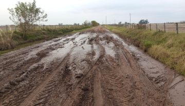 “Que sea una política de Estado”: presentaron un proyecto para cambiar la gestión de los caminos rurales en un municipio bonaerense