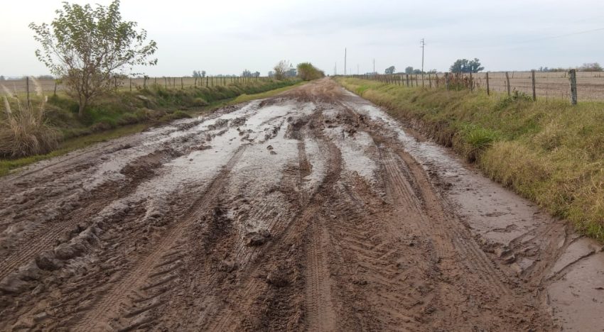 “Que sea una política de Estado”: presentaron un proyecto para cambiar la gestión de los caminos rurales en un municipio bonaerense