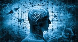 Día del Síndrome GLUT1, la enfermedad genética poco frecuente que afecta el transporte de energía hacia el cerebro