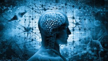 Día del Síndrome GLUT1, la enfermedad genética poco frecuente que afecta el transporte de energía hacia el cerebro