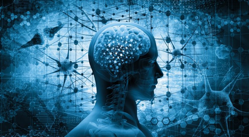 Día del Síndrome GLUT1, la enfermedad genética poco frecuente que afecta el transporte de energía hacia el cerebro