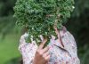 ¡Comelas en su mejor momento! Estas son las verduras que logran su punto máximo de sabor en invierno