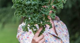 ¡Comelas en su mejor momento! Estas son las verduras que logran su punto máximo de sabor en invierno