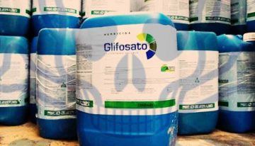Glifosato en Misiones: el impulso a su vuelta abre un fuerte capitulo político en la provincia