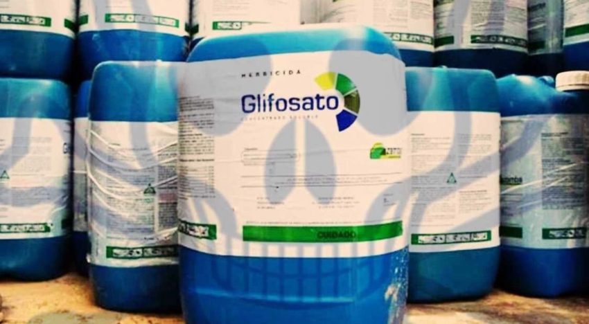Glifosato en Misiones: el impulso a su vuelta abre un fuerte capitulo político en la provincia