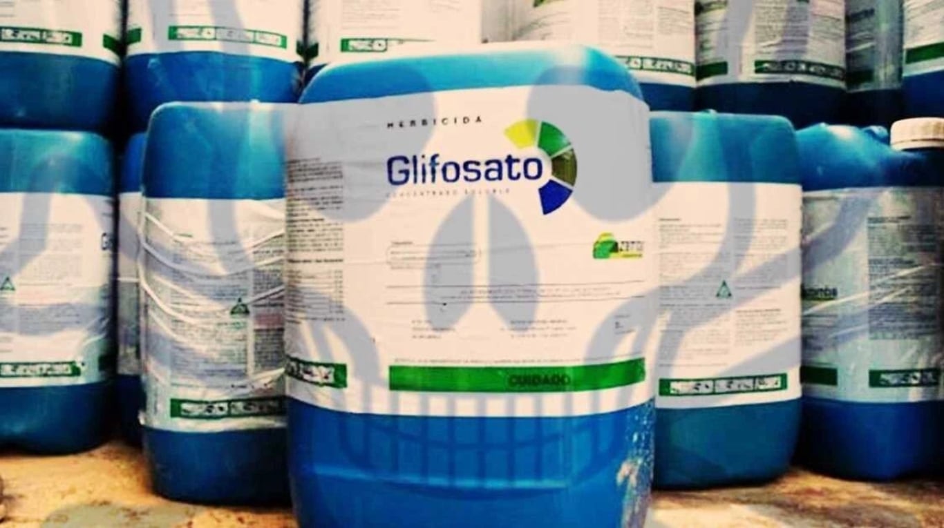 Debate en las chacras. El glifosato vuelve al centro de la escena en Misiones tras el reclamo de productores yerbateros y tealeros por la falta de sustitutos biológicos eficaces. (Foto: Acsoja).