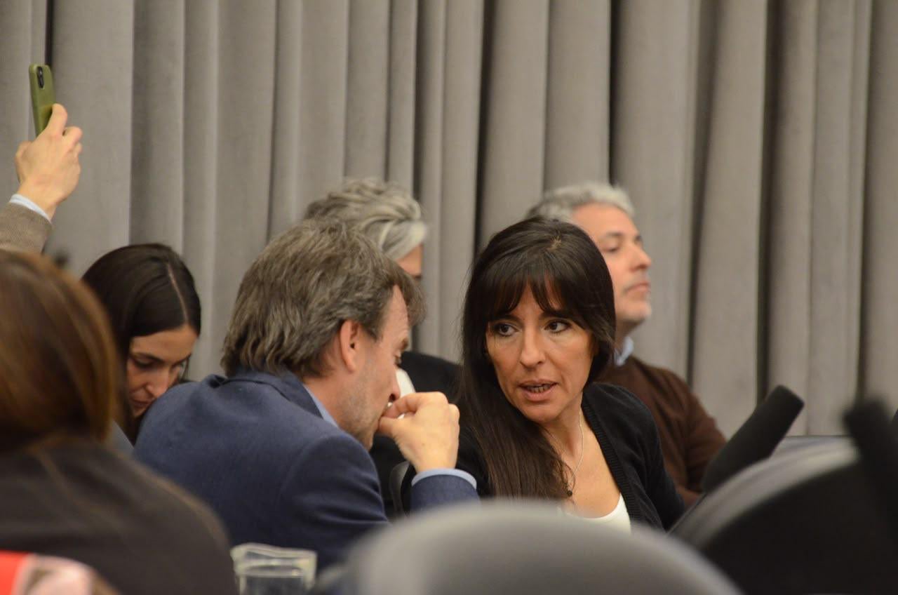 Pamela Verasay y Lisandro Nieri, diputados nacionales de la UCR, que anticiparon su respaldo a la Reforma en el Banco Central. Foto: Cámara de Diputados