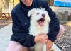 La dura historia de Tony, el perro de Leandro Rud que busca nuevo hogar tras la muerte del representante