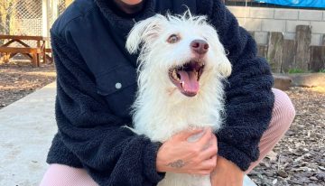 La dura historia de Tony, el perro de Leandro Rud que busca nuevo hogar tras la muerte del representante