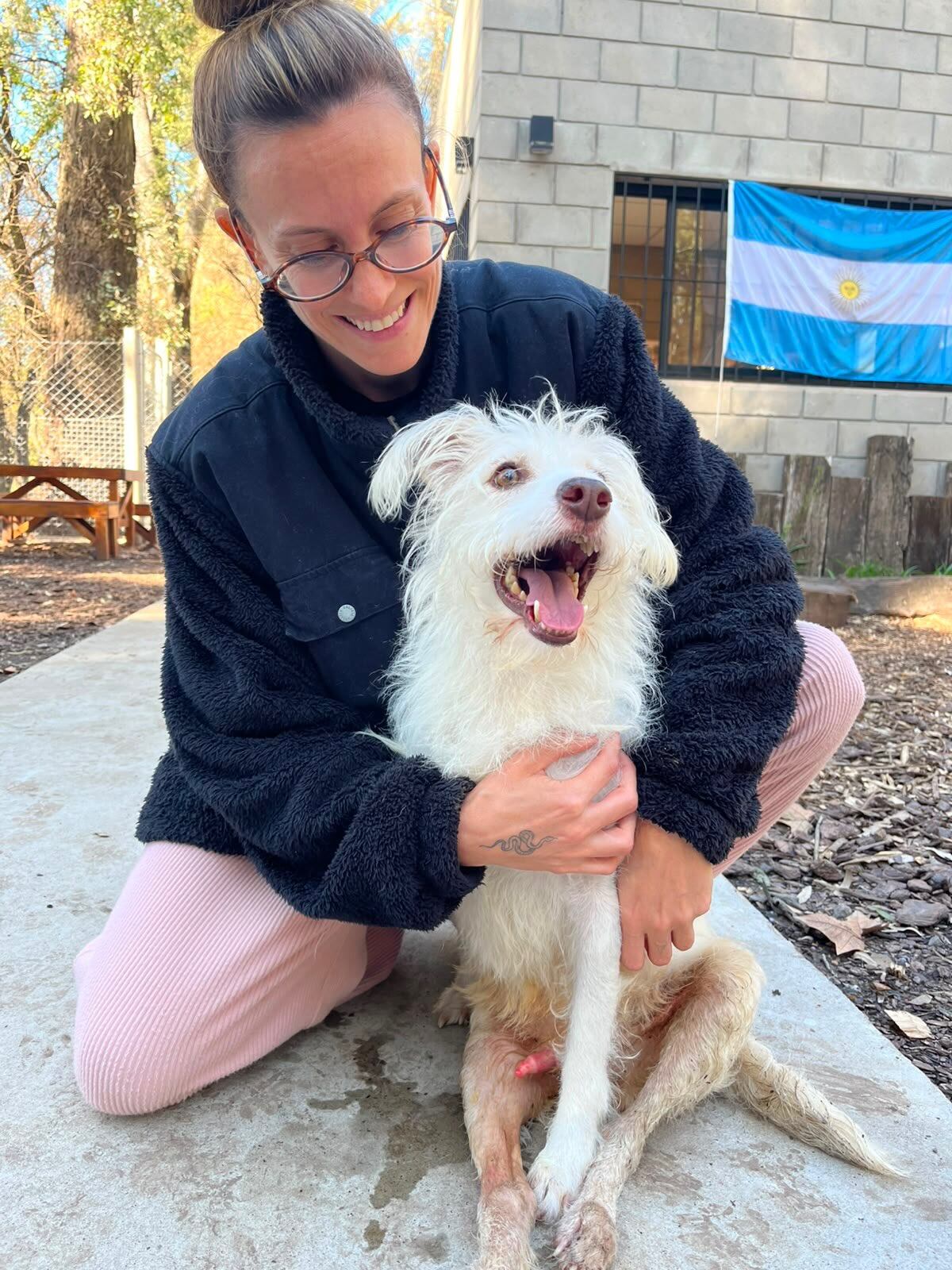 Buscan hogar para Tony, el perro de Leandro Rud que aún no fue adoptado. (Foto: instagram/zoonosisescobar)