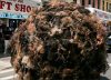 Insólito: por qué una bola gigante de pelo humano rueda por las calles de Nueva York